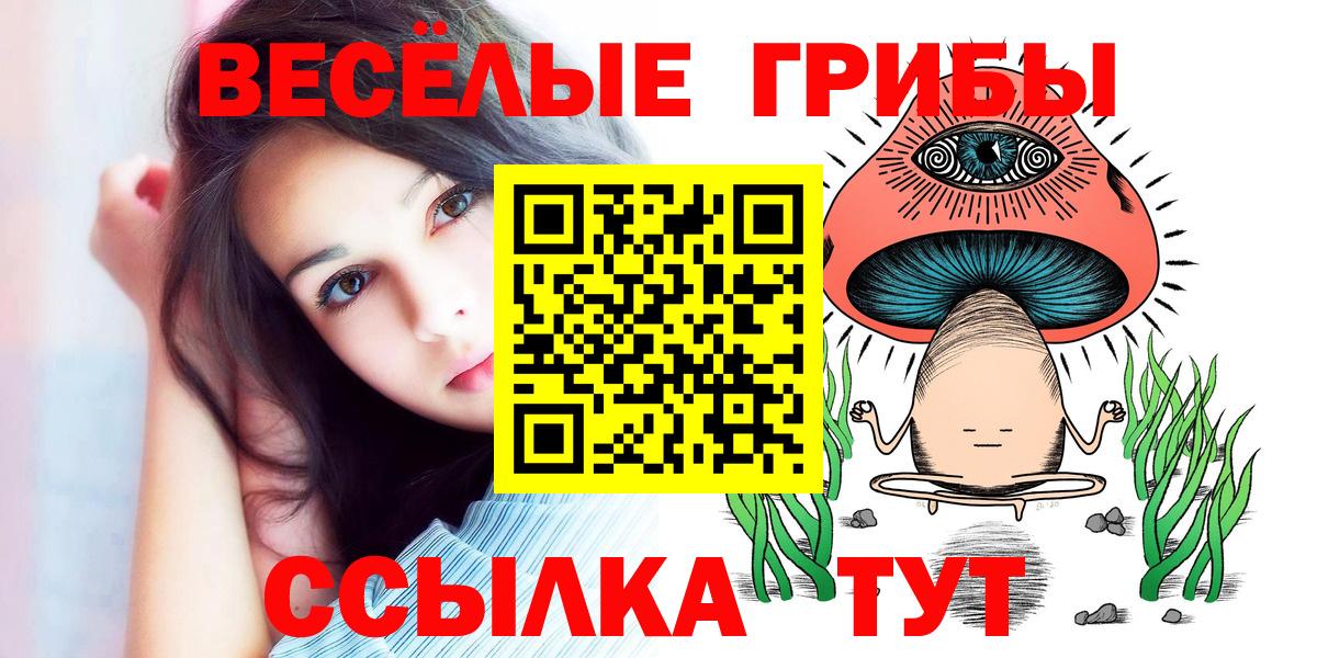 Псилоцибиновые грибы ЛСД Баксан