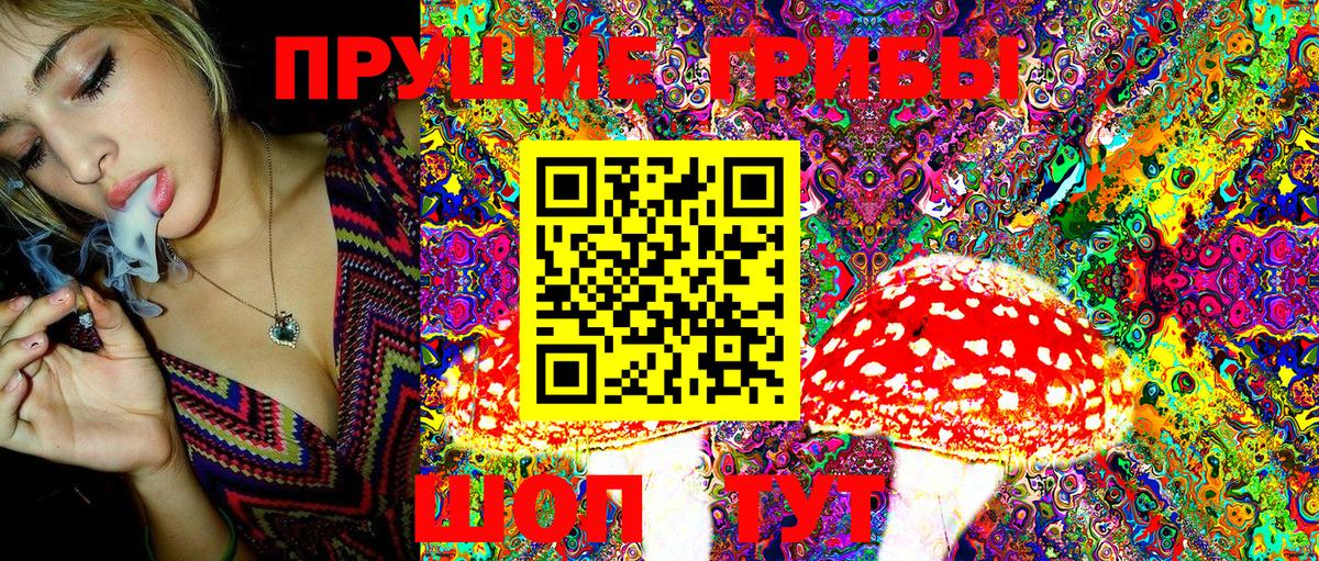 Баксан  хочу наркоту  Вход с VPN  Псилоцибиновые грибы MAGIC MUSHROOMS 
